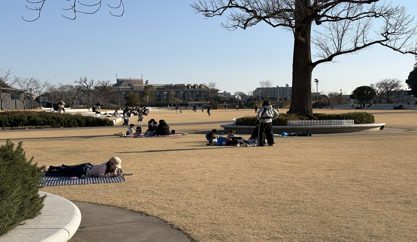 原っぱ広場ピクニックする人たち